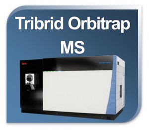 ORBITRAP_Analyzer